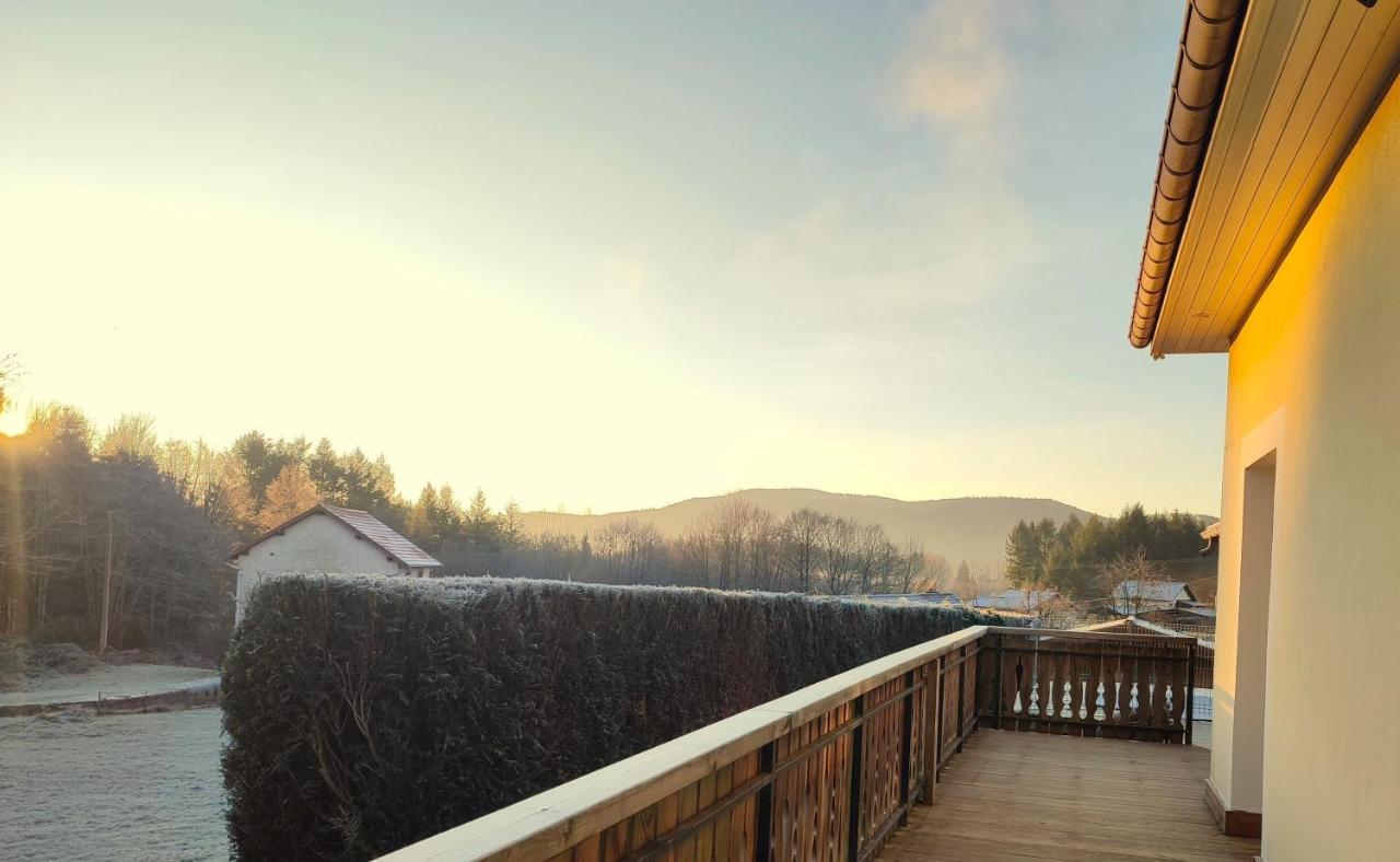 L'Ecrin De Xattys - Gite De Standing-Spa-Terrain De Petanque-Piscine-Switch-Baby-Foot Au Coeur Du Massif Vosgien Cleurie Esterno foto